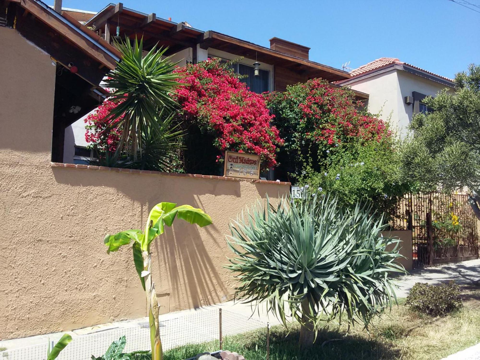 B&B Oui Madame Tijuana Exterior photo