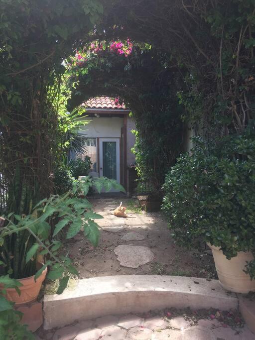 B&B Oui Madame Tijuana Room photo