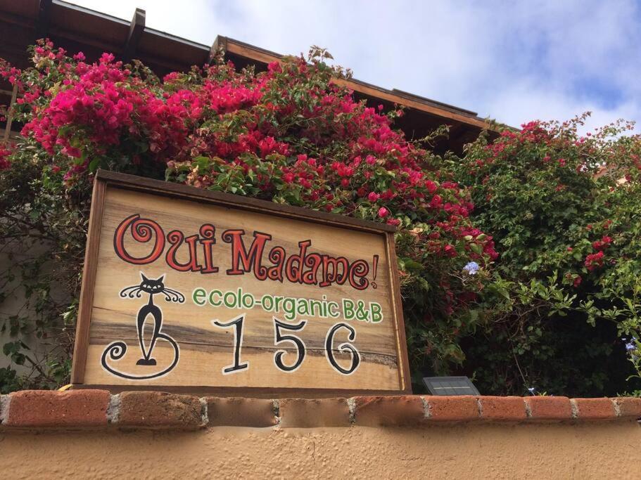B&B Oui Madame Tijuana Room photo